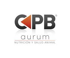 At logolynx.com find thousands of logos categorized into thousands of categories. Cpb Aurum Sa De Cv Inicio