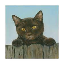 Trademark Fine Art 'Black Kitten' Canvas Art by Janet Pidoux - Walmart.com