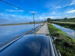 Pemandangan sawah padi di sg petani kedah youtube 18 08 2019 this video is unavailable watch. Boi On Twitter Cantik Kan Syknznll Hehe Tengoklah Sape Punya Taste