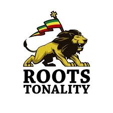 la rochelle,soirée,dub,sound system,roots tonality,Espace Bernard Giraudeau,14 décembre 2024,Dub Meeting