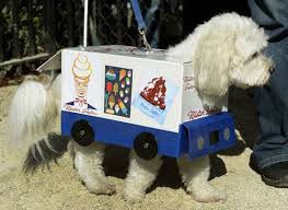 Pets Dog Halloween Costumes Dog Parade Dog Halloween