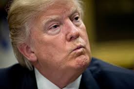 Megan Rose Dickey, Author at TechCrunch