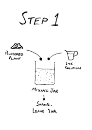Now we wash that mix with little bits of xylene and collect that in one container. The Super Secret Hidden Dmt Extraction Guide The Psychedelic Scientist