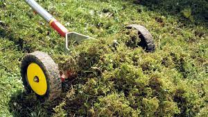 Grundsätzlich kann der rasen während der gesamten gartensaison (april bis september) vertikutiert werden. Rasen Richtig Vertikutieren Ndr De Ratgeber Garten