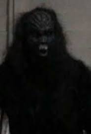 Kisah Menakutkan Wanita Palembang yang Dihamili Genderuwo, Begini  Penampakan Bayinya - Makassar Terkini