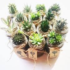 Maybe you would like to learn more about one of these? Terrarium 14 Best Places To Find Little Gardens In Klang Valley Hype Malaysia