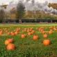 Pumpkin Patch Express at East Broad Top Railroad event image