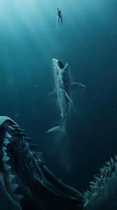 Download and use 5,000+ underwater stock photos for free. Scary Fish Wallpapers Top Free Scary Fish Backgrounds Wallpaperaccess