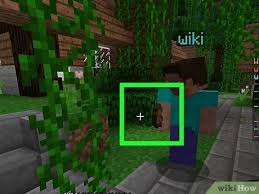 The series will teach you how . 3 Ways To Play The Minecraft Survival Games Wikihow