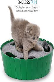 Best Toys For Cats Home Alone Reviews And Complete Buying Guide 2020 Pet Cat Toys Interactive Cat Toys Cat Toys