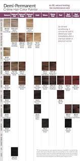 • refer to the insert included in hair color box for more detailed information. Ion Demi Permanent Hair Color Chart The Advantages Instruction