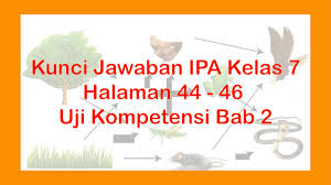 Soal dan jawaban ipa kelas vii semester 2 halaman 26. Kunci Jawaban Ipa Kelas 7 Halaman 44 46 Uji Kompetensi 2 Youtube