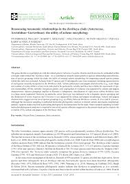 Image result for Berkheya bipinnatifida