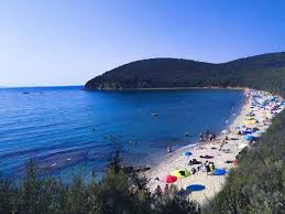 We did not find results for: Dalla Versilia A Cala Violina La Mappa Delle Spiagge Libere E Come Accedervi In Tempi Di Covid Corrierefiorentino It