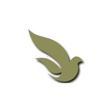 pin em vagas para tutores e professores