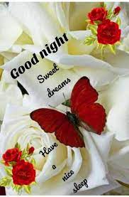 Check spelling or type a new query. à®‡à®°à®µ à®µà®£à®• à®•à®® Good Night Sweet Dreams Have Nice Sleep Sharechat Good Night Flowers Good Night Sweet Dreams Lovely Good Night