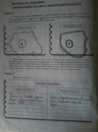 гдз по биологии 8 класс рабочая тетрадь маш 2015 Biologiya 8 Klass Rabochaya Tetrad Mash Kolesov Belyaev Reshebnik Prakard