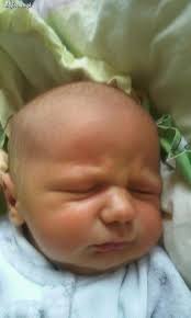 Nidzica. Witajcie na świecie