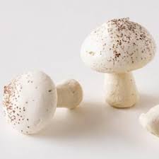 Meringue Mushrooms Recipe Yule Log Cake Stuffed Mushrooms Meringue Mushrooms