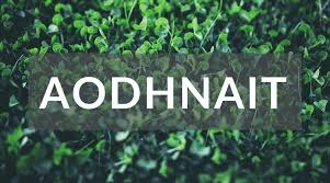 300 most common male names in the u.s. Top 10 Irish Girl Names Nobody Can Pronounce