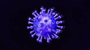 Sep 30, 2020 · county wicklow is known for its walking trails, and this is one of the best. The Best Graphs And Data For Tracking The Coronavirus Pandemic The Verge