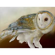 Barn Owl 12 Signed Fine Art Print 8x10 Owls Barn Owls Bird Lover 35 Liked On Polyvore Featuring Home Home Decor Wall Bird Prints Barn Owl Owl Art