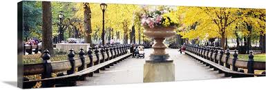 Other folders include pictures from trips that paula and i have made and various pictures taken in new york city, which is our new home. Flower Pot On A Walkway Central Park Manhattan New York City New York Wall Art Canvas Prints Framed Prints Wall Peels Great Big Canvas