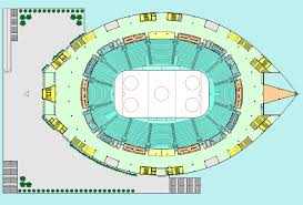 Informaciya O Dvorce Ledovyj Dvorec