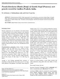 Image result for Pseudechinolaena