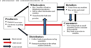 Image result for Scorodophloeus