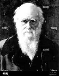 Darwin illustration Black and White Stock Photos & Images