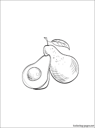 * * * * avocado, whole fruit and fruit in middle section with seed coloring page. Avocado Coloring Pages Coloring Home