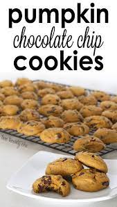 The Best Pumpkin Chocolate Chip Cookies Recipe Pumpkin Chocolate Chips Pumpkin Chocolate Chip Cookies Pumpkin Chocolate