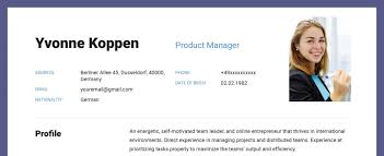 What makes the cv format so important? German Cv Template In English Ultimate English Guide