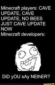 Minecraft Players Cave Update Cave Update No Bees Just Cave Update Now Minecraft Developers Did You Say Nether Ifunny Memes Minecraft Popular Memes