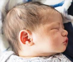 Valley Journal: Births for April 30, 2025