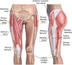 Upper Leg Muscles Tensor Fasciae Latae Massage Iliotibial Band