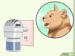 Identify if your cat is in heat. How To Deal With A Female Cat In Heat 10 Steps With Pictures