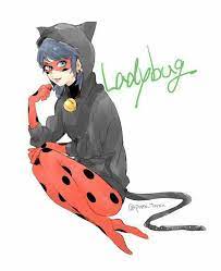 Pin By Asuna Fairchild On Ladybug Miraculous Ladybug Comic Miraculous Ladybug Anime Miraculous Ladybug Fan Art