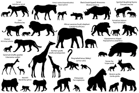 Giraffe silhouette png free download number 401086901,image file format is png,image size is 1.1 mb,this image has been released since 22/04/2019.all prf license pictures and materials on this site are authorized by lovepik.com or the copyright owner. Silhouettes Of 16 Animal Species Of Africa With Cubs 306286 Illustrations Design Bundles
