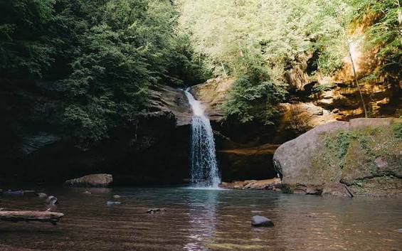 Cedar Falls | Chalets Hockin
 g Hills