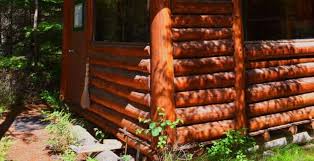 Maybe you would like to learn more about one of these? Iron Horse Forest River Cabin Almost To Canada North Idaho Id 69 Hipcamper Reviews And 188 Photos