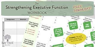 Here are 6 free executive functioning activity worksheets to help students succeed. Free Download The Strengthening Executive Function Workbook Bay Tree Blog