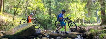 We did not find results for: Morvan Vacances Activites Au Coeur De La Nature Bourgogne Tourisme