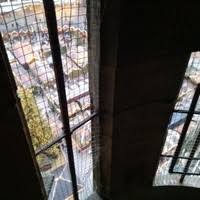 6 "Marcus Greiner" profiles