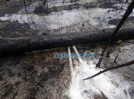 The company provides services of stage buses and express buses covering all major cities and towns in peninsular malaysia as well as routes to singapore. Jbalb Forest Fire Behind Sematan District Office Causes Leaks To Main Water Pipe Borneo Post Online