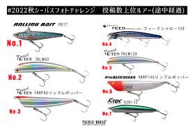 2022秋シーバスフォトチャレンジ経過報告。