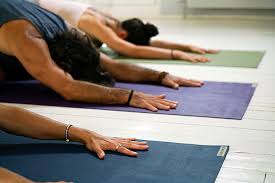 Jade mats are made in a sustainable. Nachhaltige Yogamatte Unsere Liebesten Eco Yoga Matten