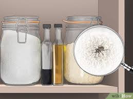 easy ways to get rid of pantry bugs