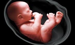Pergerakan janin dalam kandungan bukan sekadar penghibur hati buat ibu. Mengenal Gerakan Bayi Di Dalam Kandungan Medkes